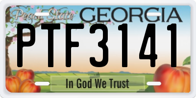 GA license plate PTF3141