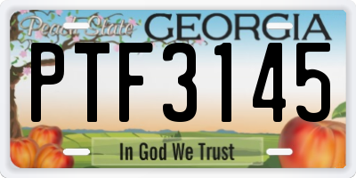 GA license plate PTF3145