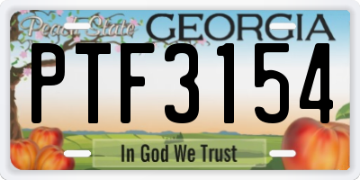 GA license plate PTF3154