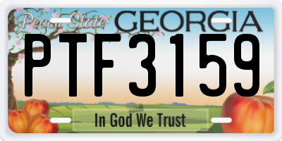 GA license plate PTF3159