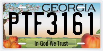 GA license plate PTF3161