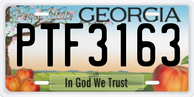 GA license plate PTF3163