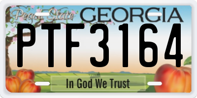 GA license plate PTF3164