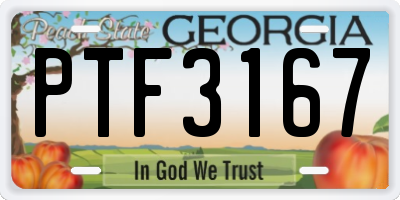 GA license plate PTF3167