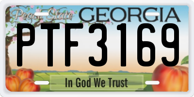 GA license plate PTF3169