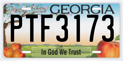 GA license plate PTF3173