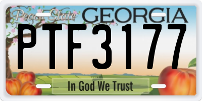 GA license plate PTF3177