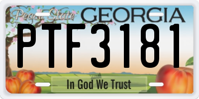 GA license plate PTF3181
