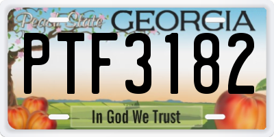 GA license plate PTF3182