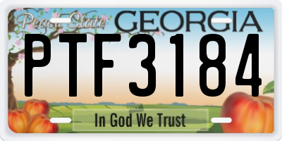 GA license plate PTF3184