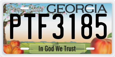 GA license plate PTF3185
