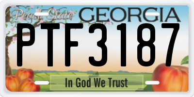 GA license plate PTF3187