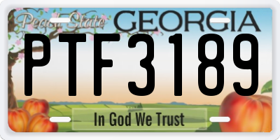 GA license plate PTF3189