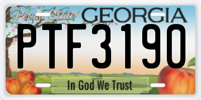 GA license plate PTF3190