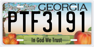 GA license plate PTF3191