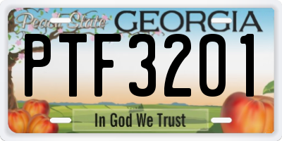 GA license plate PTF3201