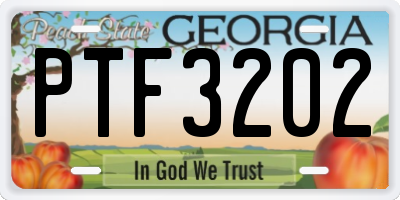 GA license plate PTF3202