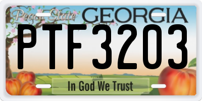 GA license plate PTF3203