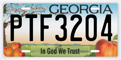 GA license plate PTF3204