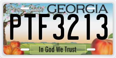 GA license plate PTF3213