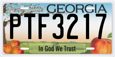 GA license plate PTF3217
