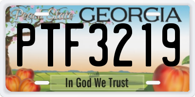 GA license plate PTF3219