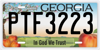 GA license plate PTF3223