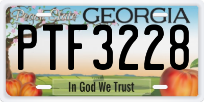 GA license plate PTF3228
