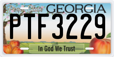 GA license plate PTF3229