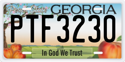 GA license plate PTF3230