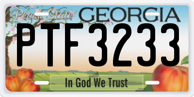 GA license plate PTF3233