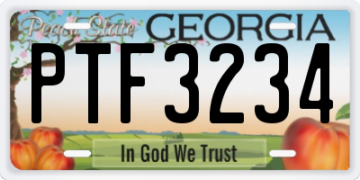 GA license plate PTF3234