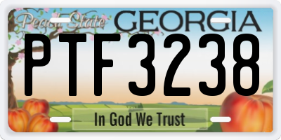 GA license plate PTF3238