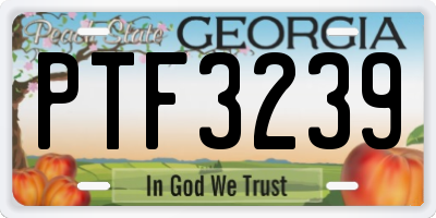 GA license plate PTF3239