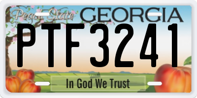 GA license plate PTF3241