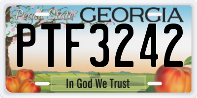 GA license plate PTF3242