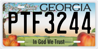 GA license plate PTF3244