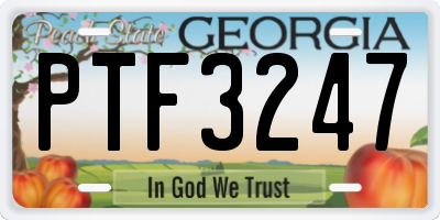 GA license plate PTF3247