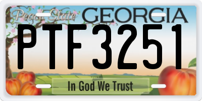GA license plate PTF3251