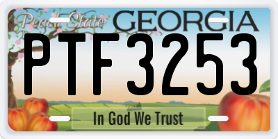GA license plate PTF3253