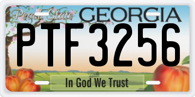 GA license plate PTF3256