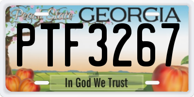 GA license plate PTF3267