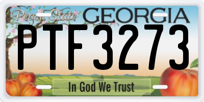GA license plate PTF3273