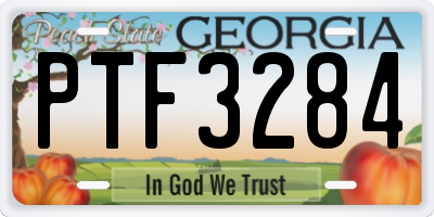GA license plate PTF3284