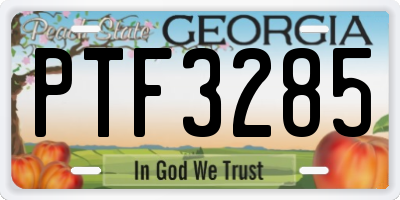 GA license plate PTF3285