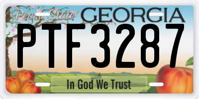 GA license plate PTF3287