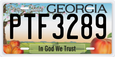 GA license plate PTF3289