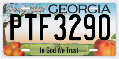 GA license plate PTF3290
