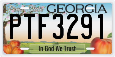 GA license plate PTF3291