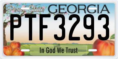 GA license plate PTF3293